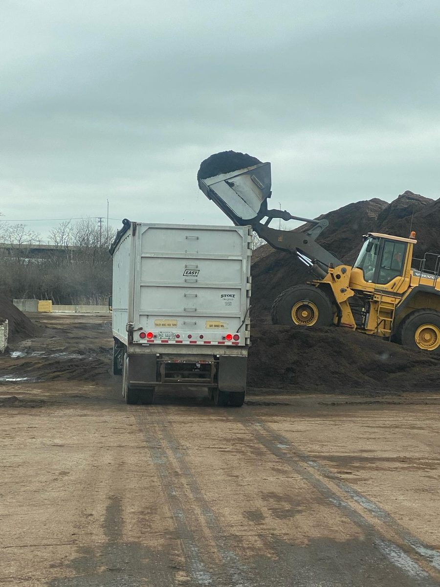 Loader placing cut tree material into a trailer